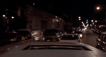 GIF by Giphy QA