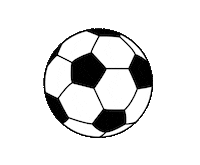 Soccer Patriots Sticker by UT Tyler