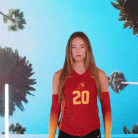 Fighton Wvb GIF by USC Trojans