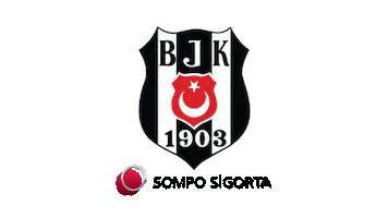 besiktasbasketball basketball besiktas bjk basketbol Sticker