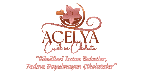 acelyacicek giphyupload açelya çikolata açelya çiçek acelya cicek Sticker