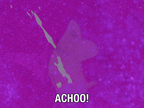Charlie Sneeze GIF by Adult Swim