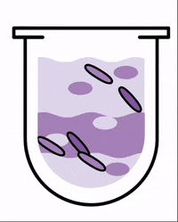 themooid healthy drinks cow astronaut GIF