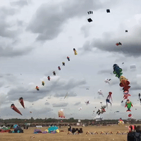 Dozens of Whimsical Kites Drift in the Skies Above Berlin During Drachenfest