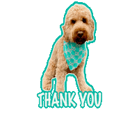 Dogs Cockapoo Sticker by Milagency