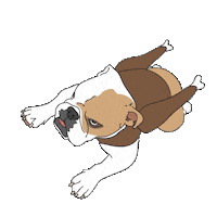 bull dog thanksgiving Sticker by GeorgetownUniversity