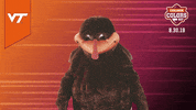 College Sports Mascots GIF by College Colors Day
