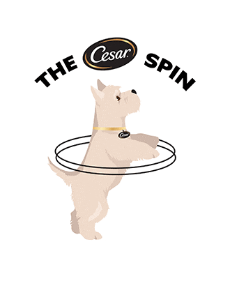Cesardogfood Sticker by Cesar Canine Cuisine