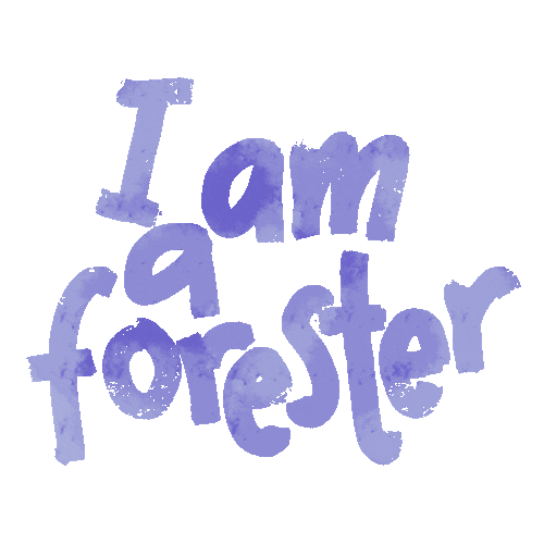 Horse Sticker by Star Stable