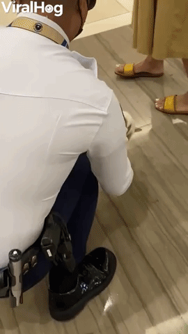 Cat Breaks into Mall For Belly Rubs