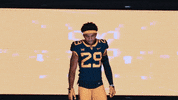 College Football GIF by WVU Sports