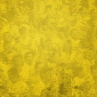 Futbol Barcelona GIF by PilsenerEC