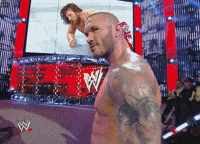 Orton GIF by SB Nation