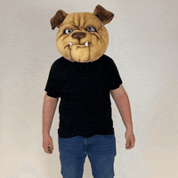 MUGRootBeer dog mug bark root beer GIF