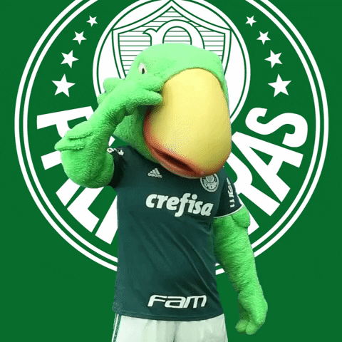 sad cry GIF by SE Palmeiras