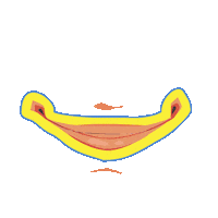 Amazon Brazil Sticker by Rede Amazônica