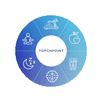 TouchPointSolution touchpoint touchpoints touchpoint solution touchpointsolution Sticker