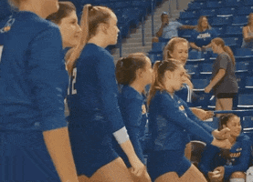 College Sports Dance GIF by Delaware Blue Hens