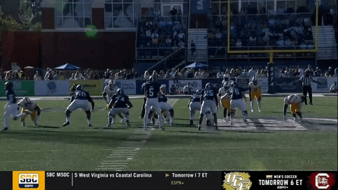 panthers12 giphyupload GIF