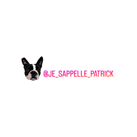 je_sappelle_patrick giphygifmaker dog doggo patrick Sticker
