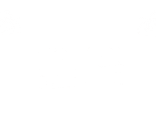 Pabllo Vittar San Sticker by Santé Natal