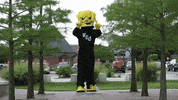 Wu_Shock flex wu wsu wushock GIF