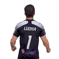 Football Soccer Sticker by Fortuna Liga