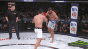 GIF by Bellator