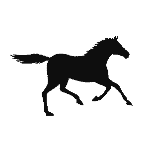 Horse Sticker by Pferdesporthaus Loesdau