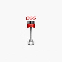 Sport Car GIF by PSS