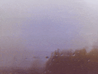 film photography love GIF by Jano Soto Cossio