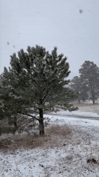 Winter Storm Warning Issued for Central Colorado