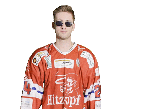 Hockey Pill Sticker by dsc-eishockey