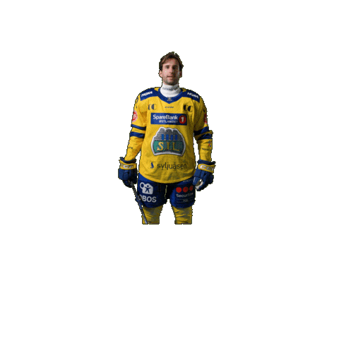 Jubel Sticker by Storhamar Hockey