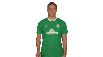 Werder Bremen Hello Sticker by Bundesliga
