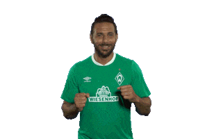 Claudio Pizarro Football Sticker by SV Werder Bremen