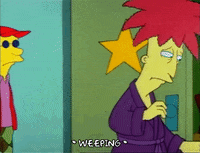 Season 1 GIF by The Simpsons