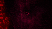 Oddity GIF by MFD