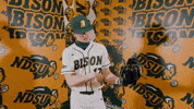 Baseball Bison GIF by NDSU Athletics