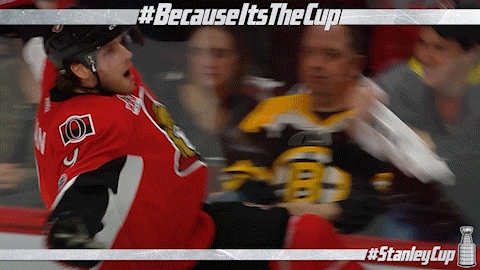 stanley cup playoffs GIF by NHL
