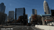 North Carolina Charlotte GIF by Barstool Sports