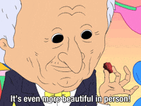 Charlie Allan GIF by Adult Swim