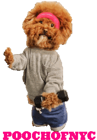 Fitness Workout Sticker