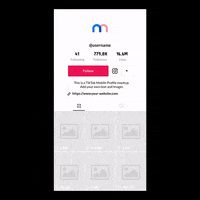 Influencer Video Marketing GIF by Mediamodifier