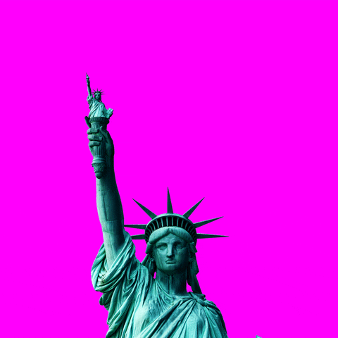 statue of liberty GIF by freddiemade