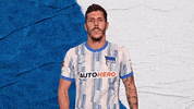 Bundesliga Berlin GIF by Hertha BSC