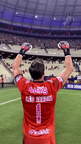 Vasco Goleiro GIF