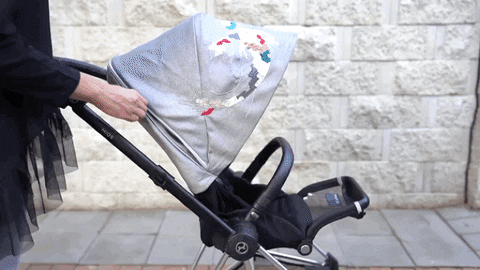 deeaibacka giphyupload baby review stroller GIF