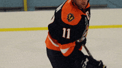 hockey jersey GIF by Greenville Swamp Rabbits