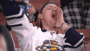 hockey fan GIF by Greenville Swamp Rabbits